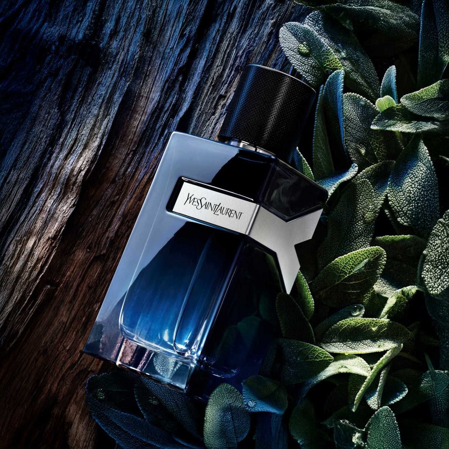 Y Eau de Parfum para Hombre