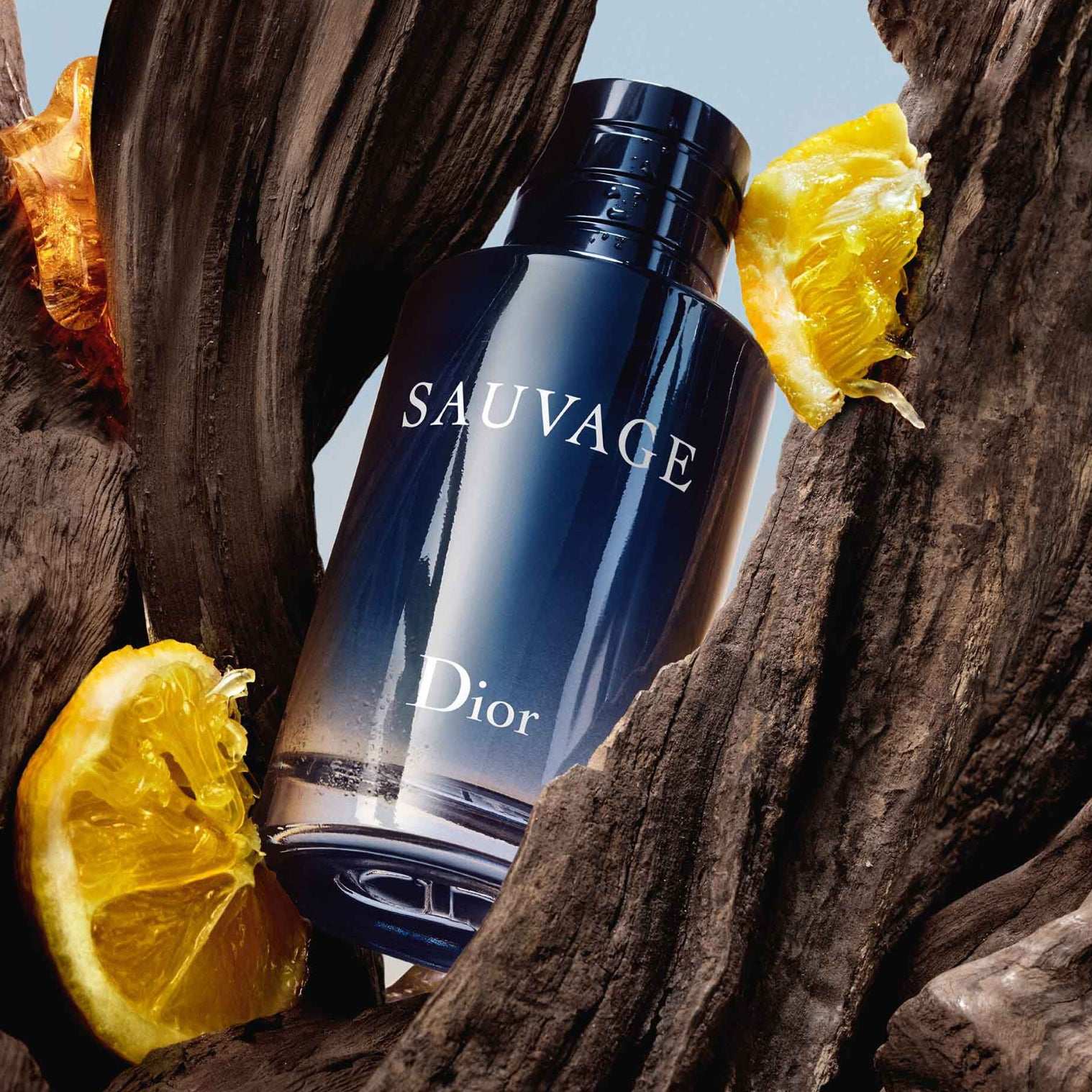 Sauvage Eau de Toilette para Hombre